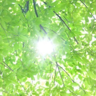 Heartdance 東京ドームシティラクーア店のアルバイト パート求人情報 Joblist ジョブリスト スマホであつめる みんなの街の求人はり紙