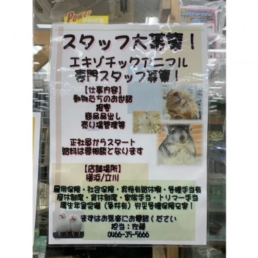 有限会社スーマースペットショップ藤沢店のアルバイト パート求人情報 Joblist ジョブリスト スマホであつめる みんなの街の求人はり紙