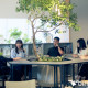 circus株式会社 画像1