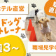 株式会社ホテルニューアワジ神戸 画像1