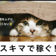 ビーウィズ株式会社 画像1