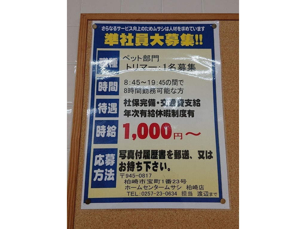 ホームセンタームサシ 柏崎店のアルバイト パート求人情報 Joblist ジョブリスト スマホであつめる みんなの街の求人はり紙