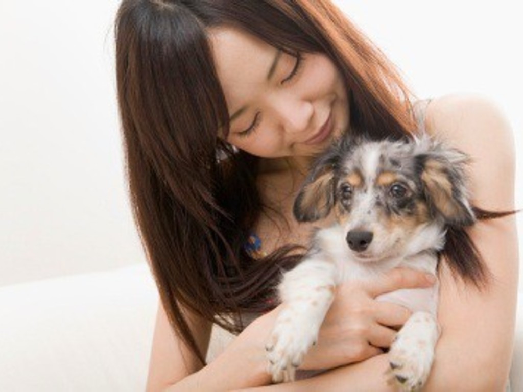 本間獣医科医院 カインズ茂原病院 看護師のアルバイト パート求人情報 Joblist ジョブリスト スマホであつめる みんなの街の求人はり紙