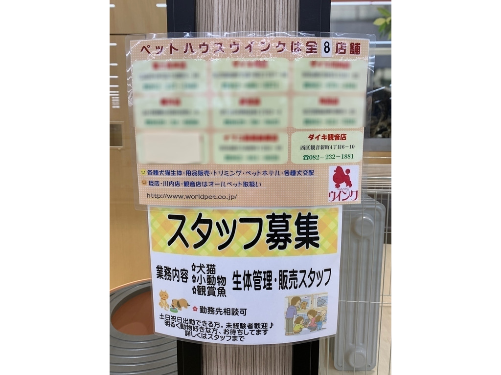 ペットハウスウインク観音店のアルバイト パート求人情報 Joblist ジョブリスト スマホであつめる みんなの街の求人はり紙