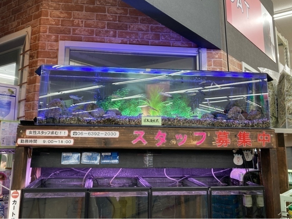 ペットプラザ コーナン新大阪店のアルバイト パート求人情報 Joblist ジョブリスト スマホであつめる みんなの街の求人はり紙