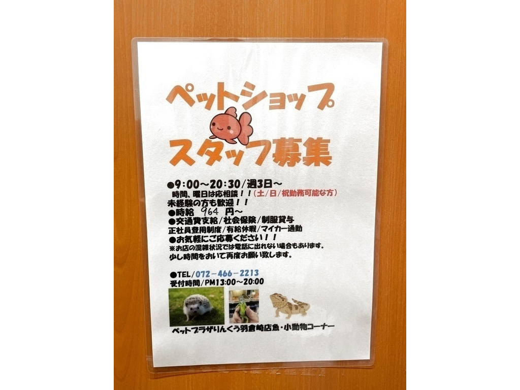 ペットプラザりんくう羽倉崎店のアルバイト パート求人情報 Joblist ジョブリスト スマホであつめる みんなの街の求人はり紙
