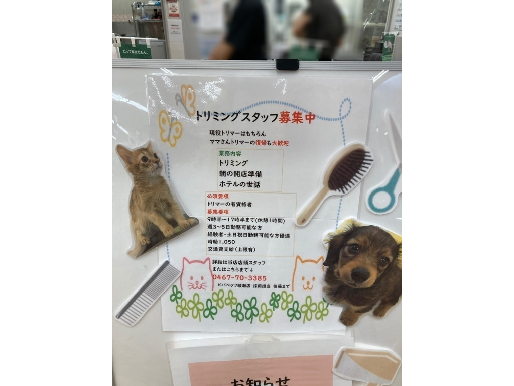 ビバペッツ 綾瀬店のアルバイト パート求人情報 Joblist ジョブリスト スマホであつめる みんなの街の求人はり紙