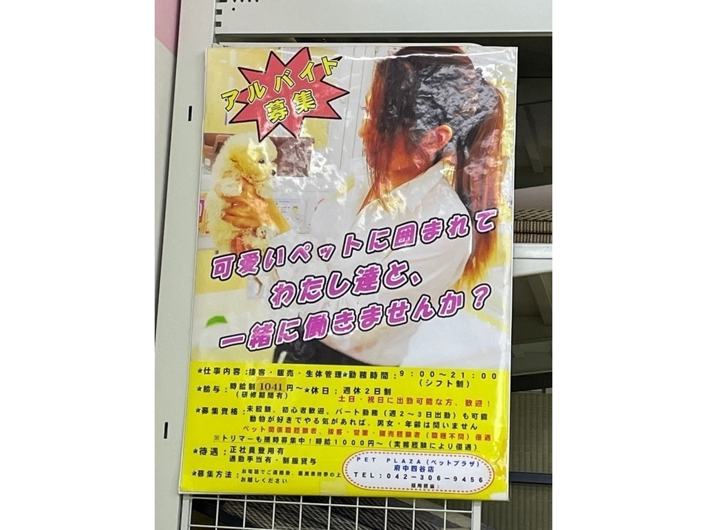 ペットプラザ 府中四谷店のアルバイト パート求人情報 Joblist ジョブリスト スマホであつめる みんなの街の求人はり紙