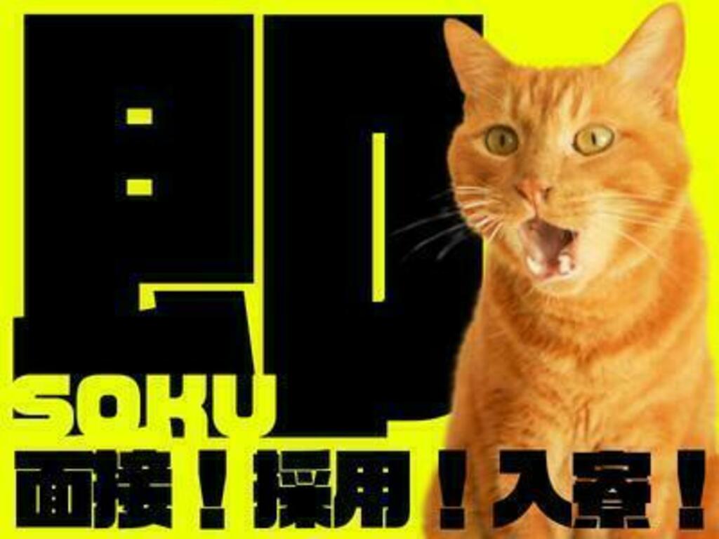 株式会社ＭＫＲ ※新宿区エリア(12)のアルバイト・パート求人情報 | JOBLIST[ジョブリスト]｜全国のアルバイト求人情報サイト