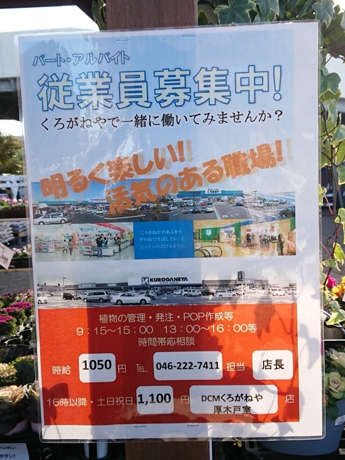 Dcmくろがねや 厚木戸室店のアルバイト パート求人情報 Joblist ジョブリスト 全国のアルバイト求人情報サイト