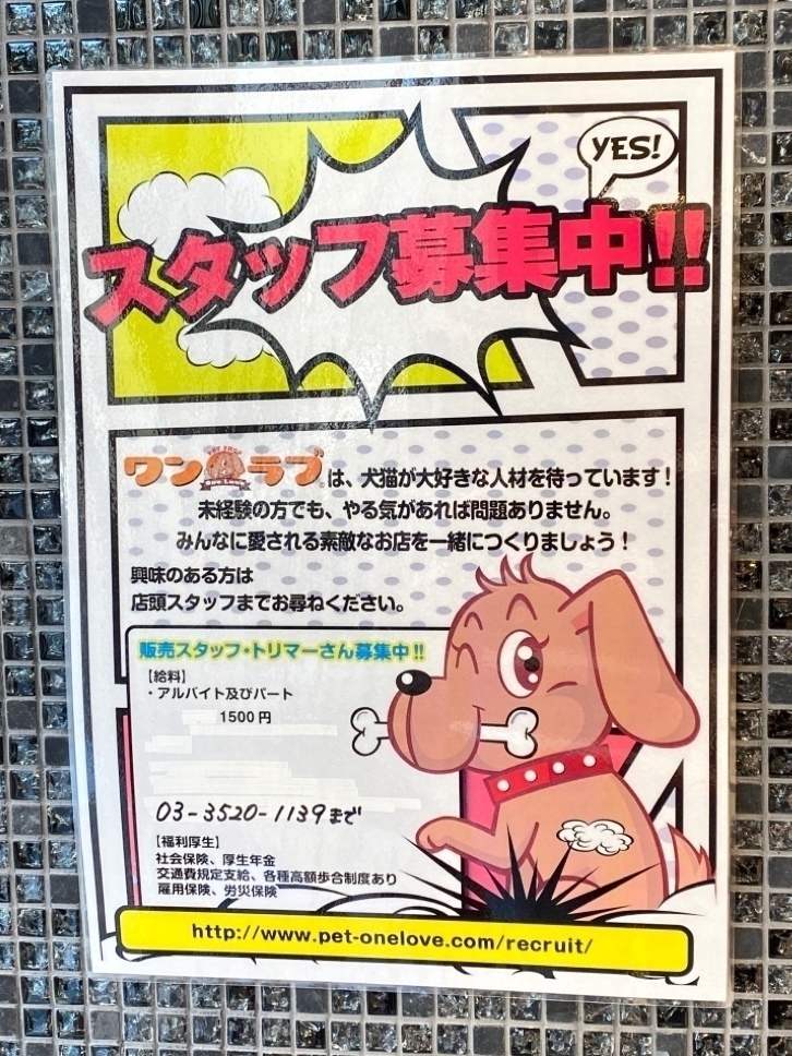 ペットショップワンラブ 有明ガーデン東京本店のアルバイト パート求人情報 Joblist ジョブリスト スマホであつめる みんなの街の求人はり紙