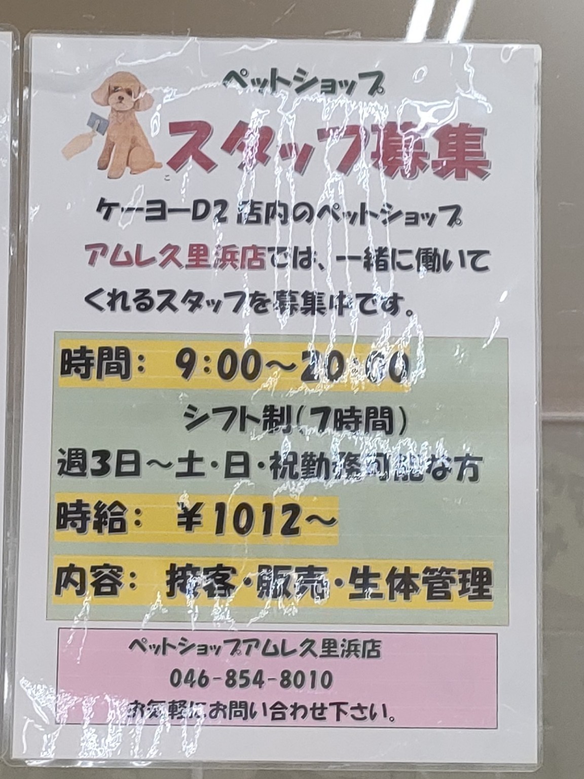 ペットショップアムレ 久里浜店のアルバイト パート求人情報 Joblist ジョブリスト 全国のアルバイト求人情報サイト