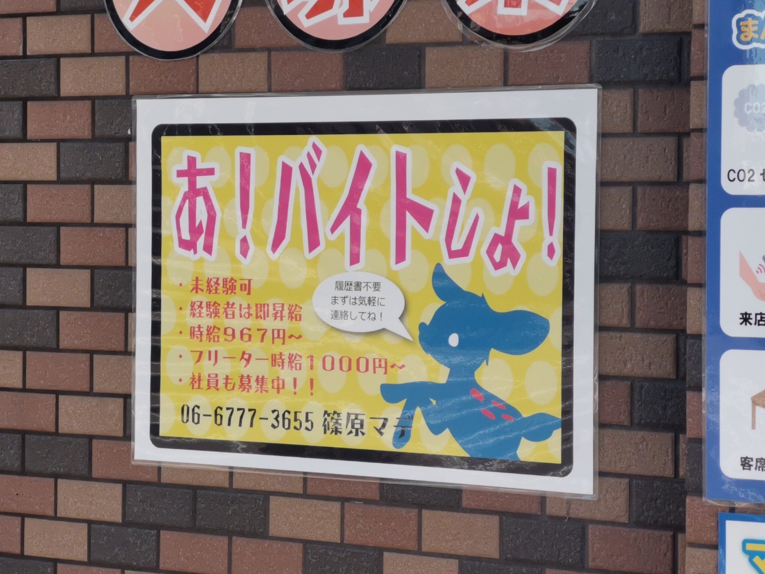 みなとまちバール Bam Vino（バンビーノ ）桃谷店のアルバイト・パート求人情報 | Joblist[ジョブリスト]｜スマホであつめる みんなの街 の求人はり紙