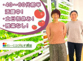 わーくはぴねす農園Plus　大阪2