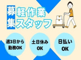 株式会社ワールドスタッフィング/51622_54214-02