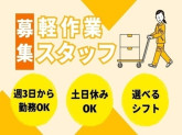 株式会社ワールドスタッフィング/51622_54214-01
