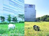 株式会社エスアールエル　セントラルラボラトリー_8000