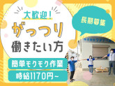 株式会社ワタナベ流通　さくらデポ