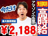 株式会社ワールドスタッフィング/51622_40687-00