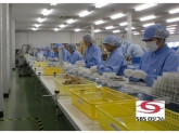 SBSロジコム株式会社　東名厚木支店（東証プライムSBSグループ）