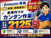 株式会社ワールドスタッフィング/51622_46352-00