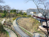 金沢八景権現山公園
