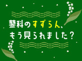 東急リゾート株式会社 蓼科センター