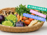 株式会社エンクラフト