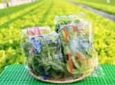 エスジーグリーンハウス株式会社