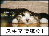 ビーウィズ株式会社
