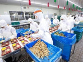 ミノヤランチ　尾張旭工場