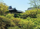 宗教法人　東福寺