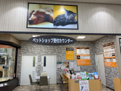 ペットハウスウインク観音店のアルバイト パート求人情報 Joblist ジョブリスト スマホであつめる みんなの街の求人はり紙