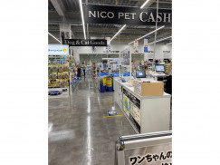 Animal World Nico Pet 久喜菖蒲店のアルバイト パート求人情報 Joblist ジョブリスト スマホであつめる みんなの街の 求人はり紙