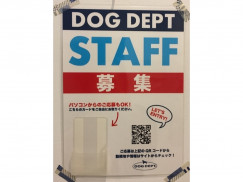 Dog Dept ドッグデプト 湘南江ノ島店のアルバイト パート求人情報 Joblist ジョブリスト スマホであつめる みんなの街の求人はり紙