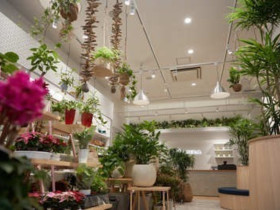 Hare No Hi ハレノヒ ららぽーと富士見店のアルバイト パート求人情報 Joblist ジョブリスト スマホであつめる みんなの街の求人はり紙