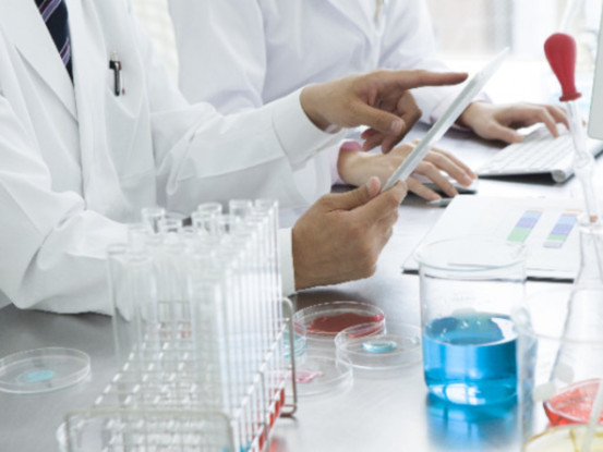 株式会社プリメディカ 画像1