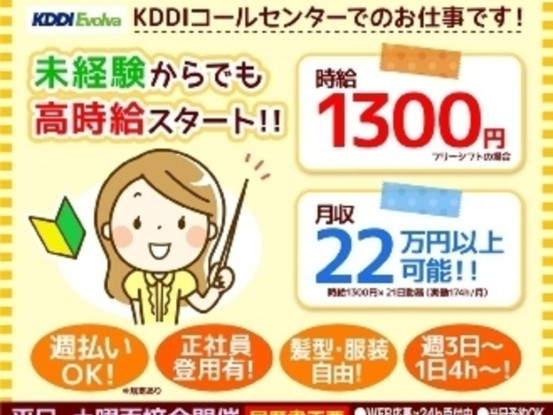 KDDIエボルバ / 1171003250 画像1
