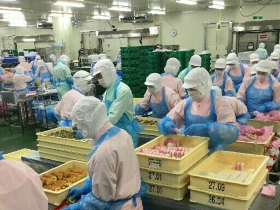 中部フーズ　多治見本社工場 画像1