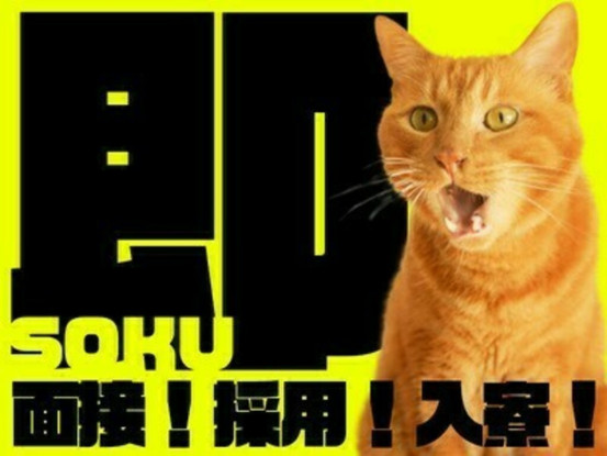 1秒でも早く『宿無し＆金無し』から抜け出したい方必見！！