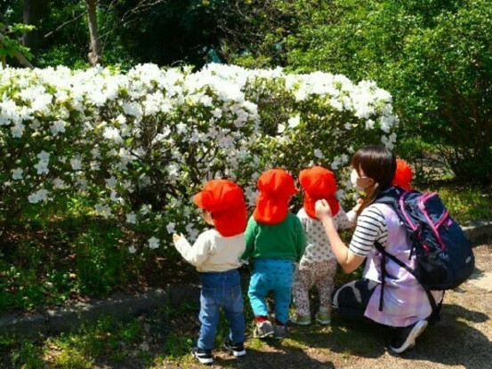 社会福祉法人もろほし会 　めばえ保育園 画像1