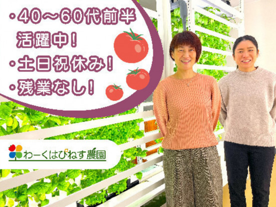 ソーシャルファーム　わーくはぴねす農園Plus　豊洲 画像1