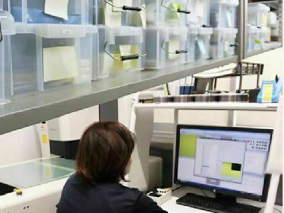 株式会社　大手　埼玉工場 画像1