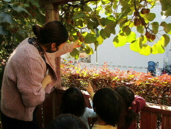 喜多見バオバブ保育園 画像1