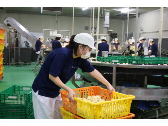 日本レイヤー株式会社 画像1