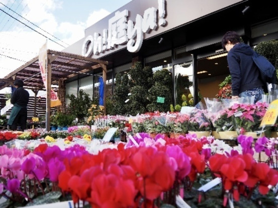 株式会社oh庭ya 画像1