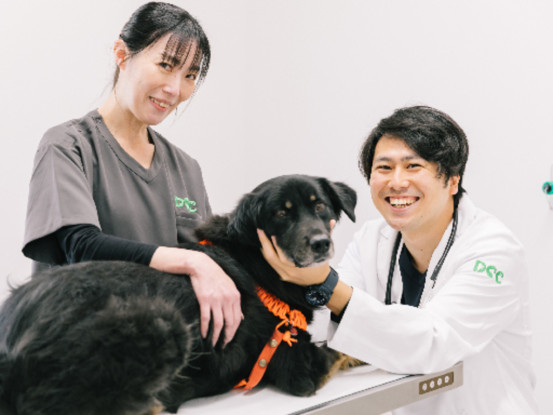 【パートアルバイト】株式会社ワンヘルスコーポレーション（DCC動物病院 カインズ都田） 画像1