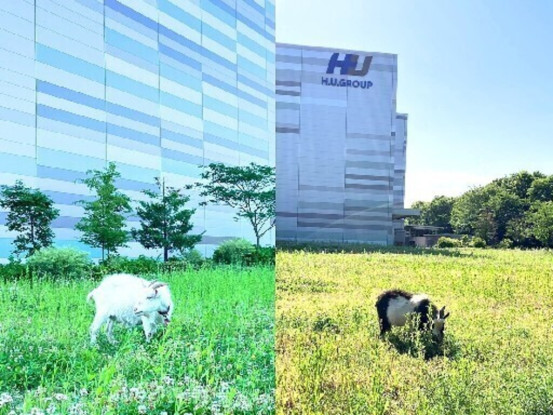 株式会社エスアールエル　セントラルラボラトリー_8000 画像1