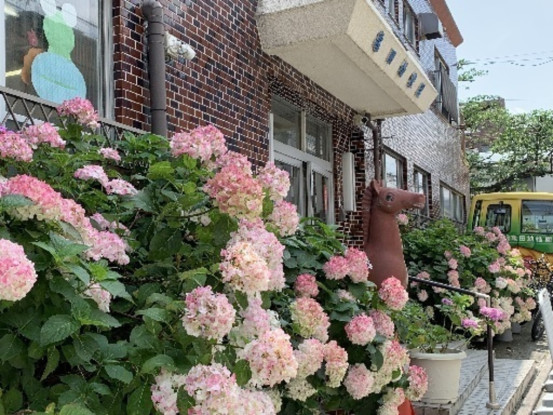 亀田幼稚園 画像1