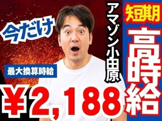株式会社ワールドスタッフィング/51622_40687-00 画像1